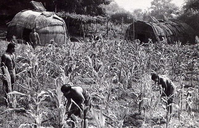 مزرعه سرخپوستان ساحل شمال شرقی